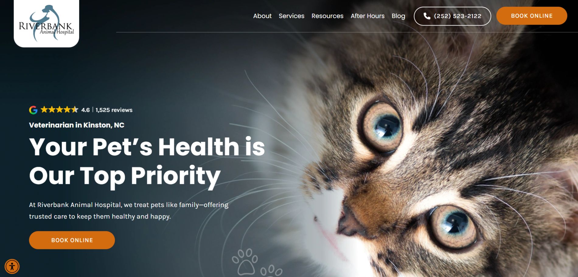 Riverbank Website Screenshot